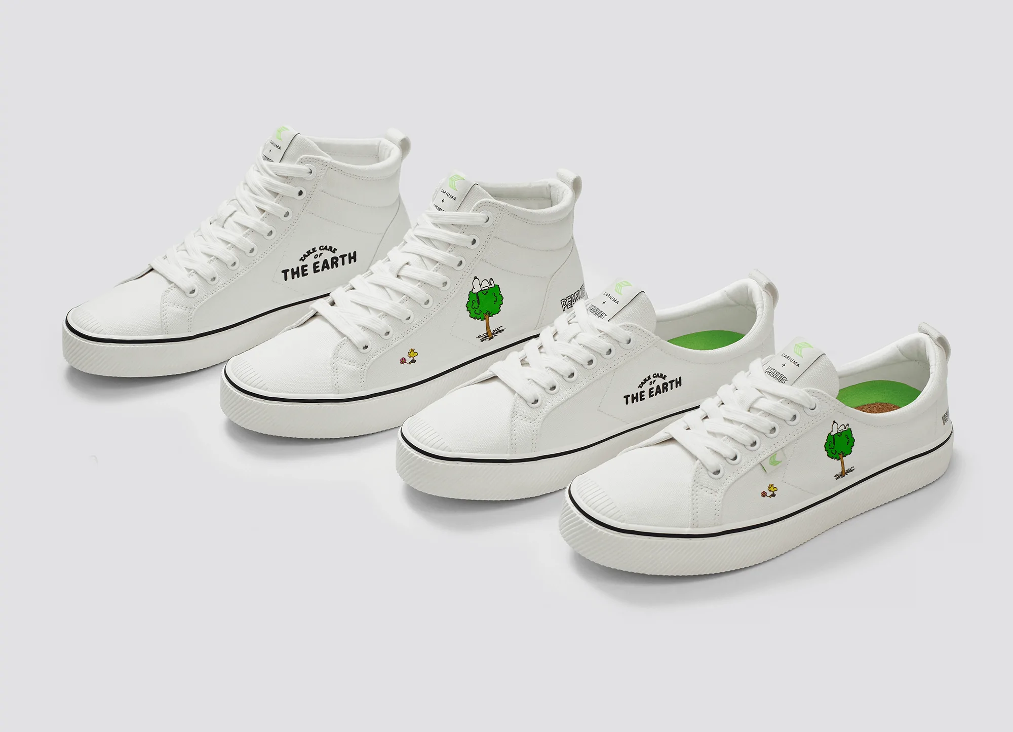 ecofriendly shoe