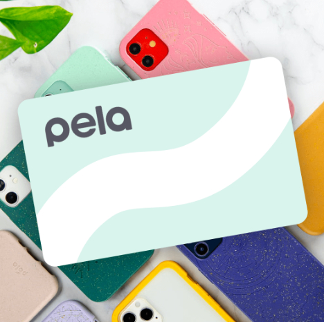Pela Case